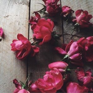 Meet your Posher, Kathi